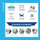 펫비즈 이미지