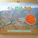 지리산처럼영농조합법인 이미지