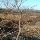 처음농장 이미지