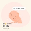 퍼스트맘닥터 | 임산부 영양제 후기 : 닥터에디션 퍼스트맘2 임산부 철분제 활성형 엽산 올인원 영양제