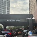웨스틴 조선호텔 | 조선델리 망고케이크 지난번과는 달랐던 맛