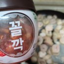 한옹 이미지