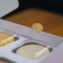 헷지허그딜레마 네이버블로그
