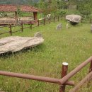 읍리 지석묘 이미지