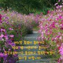 세기냉열 이미지