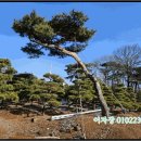 양도면-8 이미지