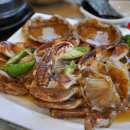 힐링솔가 이미지