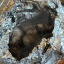 나니포차 | 오이도 알쭈꾸미맛집 조개포차 내돈내산 후기