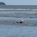 풀빌라봄날 | 여름휴가 오션뷰 감성숙소 추천!🫧 <태안 풀빌라 봄날> 내돈내산 후기🏖️