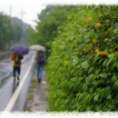 대전둘레산길(5구간) 이미지