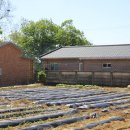 세교10통마을회관 이미지