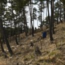 이원호농장 이미지