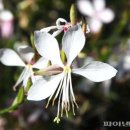 놀자놀자 이미지