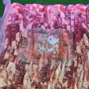 다온미트 이미지