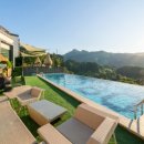 강아지풀 애견 이미지