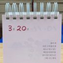 봄봄종합상사 이미지