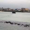 신흥리방사탑 2호 이미지