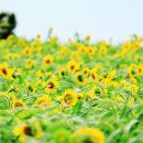 용담가족테마공원2 이미지