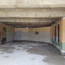 애플동물병원 이미지