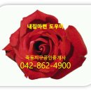 죽동예미지공인중개사사무소 이미지
