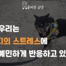 올바른참견 이미지