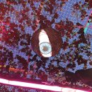 터널게이트(나) | 에버랜드 블러드시티 케데헌 메모리카니발 호러메이즈 후기