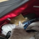 국립해양조사원 이미지