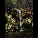 대한렌트카 이미지