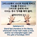 【12.3 대한민국 계몽·개혁의 날】 이미지