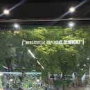 열정국밥충북 | [청주] 변화 / 성안길 술집 내돈내산 후기