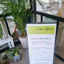 행복하게 해줄개 이미지