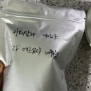 더슬로우컴퍼니 이미지