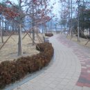 봄날제주