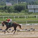 경마공원 이미지