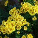 기억의 순간 이미지