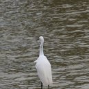 잠실공원 이미지