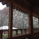 장안사산장식당 이미지