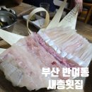 (주)소담횟집 | 부산 반여동 횟집 새총횟집 후기 | 회, 매운탕, 밑반찬까지 완벽했던 하루