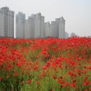 자유아시아(주)