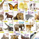 (주)자연동화 이미지