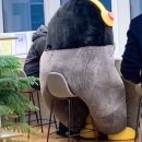 캔두필라테스