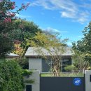 스테이오아 이미지