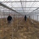 오수동농장 이미지