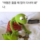 회바라기 - 창원시 의창구 소계로 93-7 | 회바라기