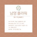 소망꽃집 - 광진구 광장로 80 | 소망꽃집