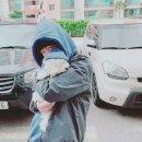 대현 이미지