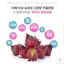 유림다방 이미지