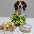 미미펫푸드 이미지