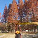 고봉민김밥인양산점 이미지