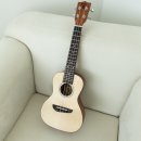 (초보자를 위한) 우쿨렐레 이미지